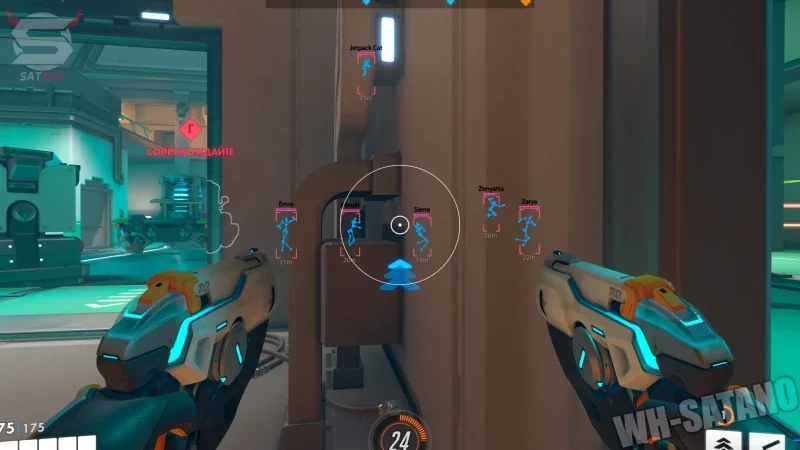 Enemy ESP skeleton view through walls in Overwatch 2